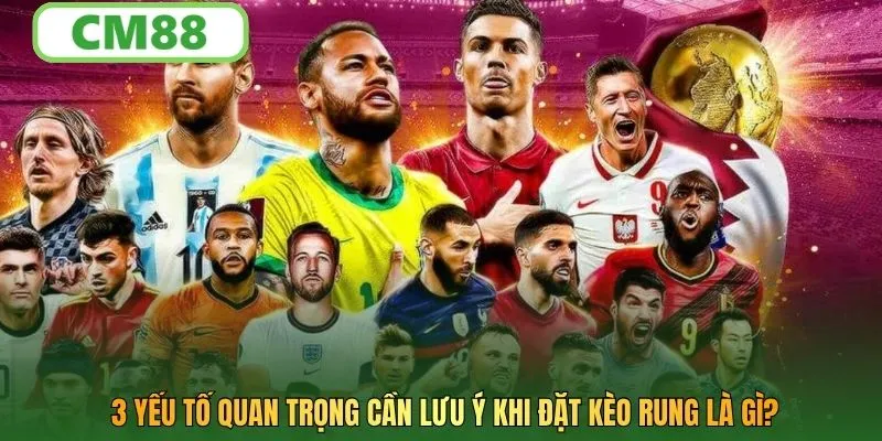 3 yếu tố quan trọng cần lưu ý khi đặt kèo rung là gì?