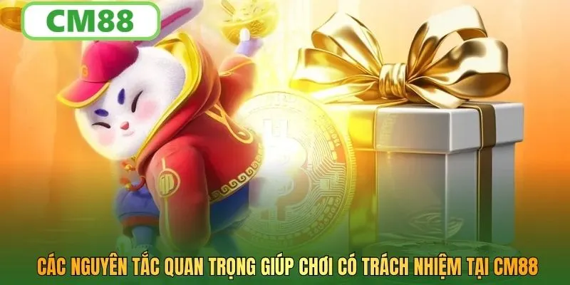 Các nguyên tắc quan trọng giúp chơi có trách nhiệm tại CM88