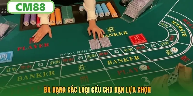 Đa dạng các loại cầu cho bạn lựa chọn