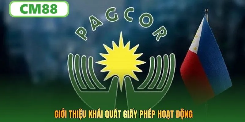 Giới thiệu khái quát giấy phép hoạt động