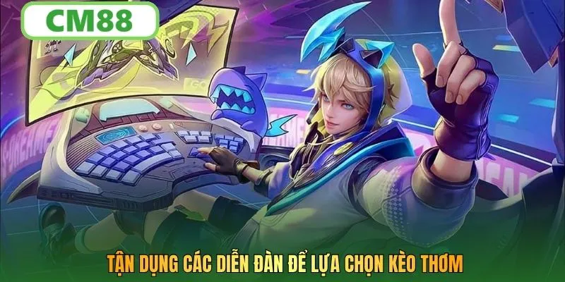 Tận dụng các diễn đàn để lựa chọn kèo thơm